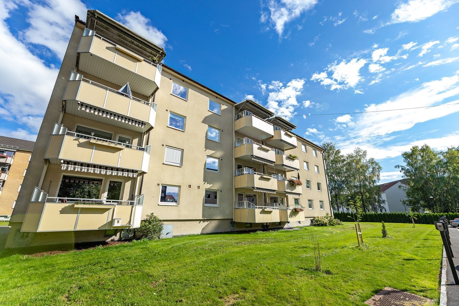 Fellesareal. Galleribilde