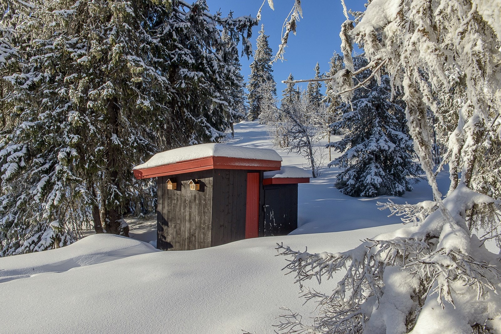 Uthus med utedo og bodrom/vedskåle Galleribilde