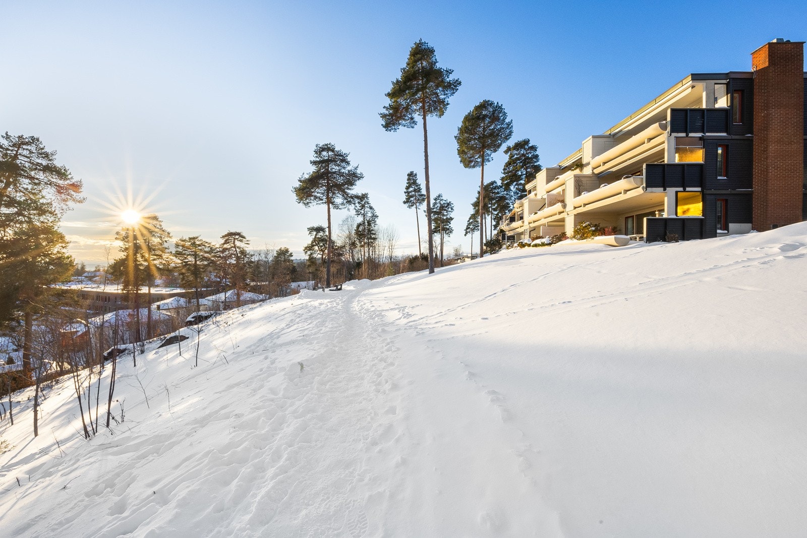 Fellesområdet er opparbeidet med grøntarealer, benker, store trær og asfalterte internveier. Galleribilde