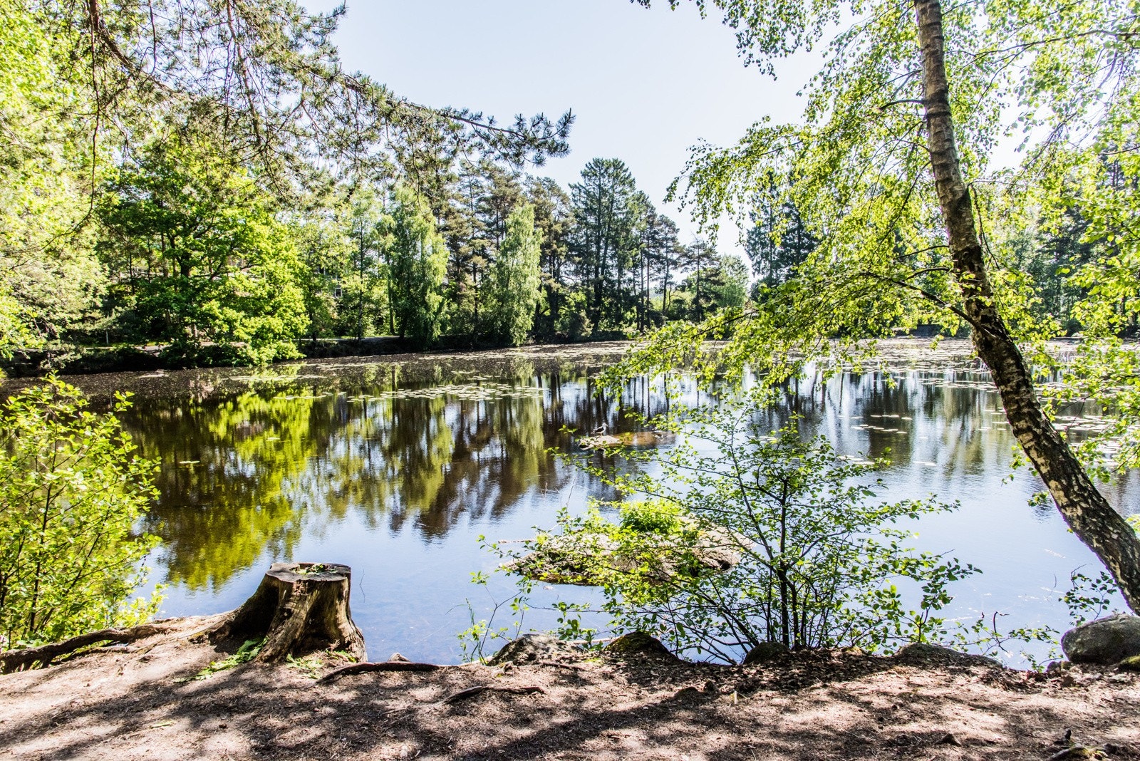 En deilig rusletur rundt Brydedammen Galleribilde