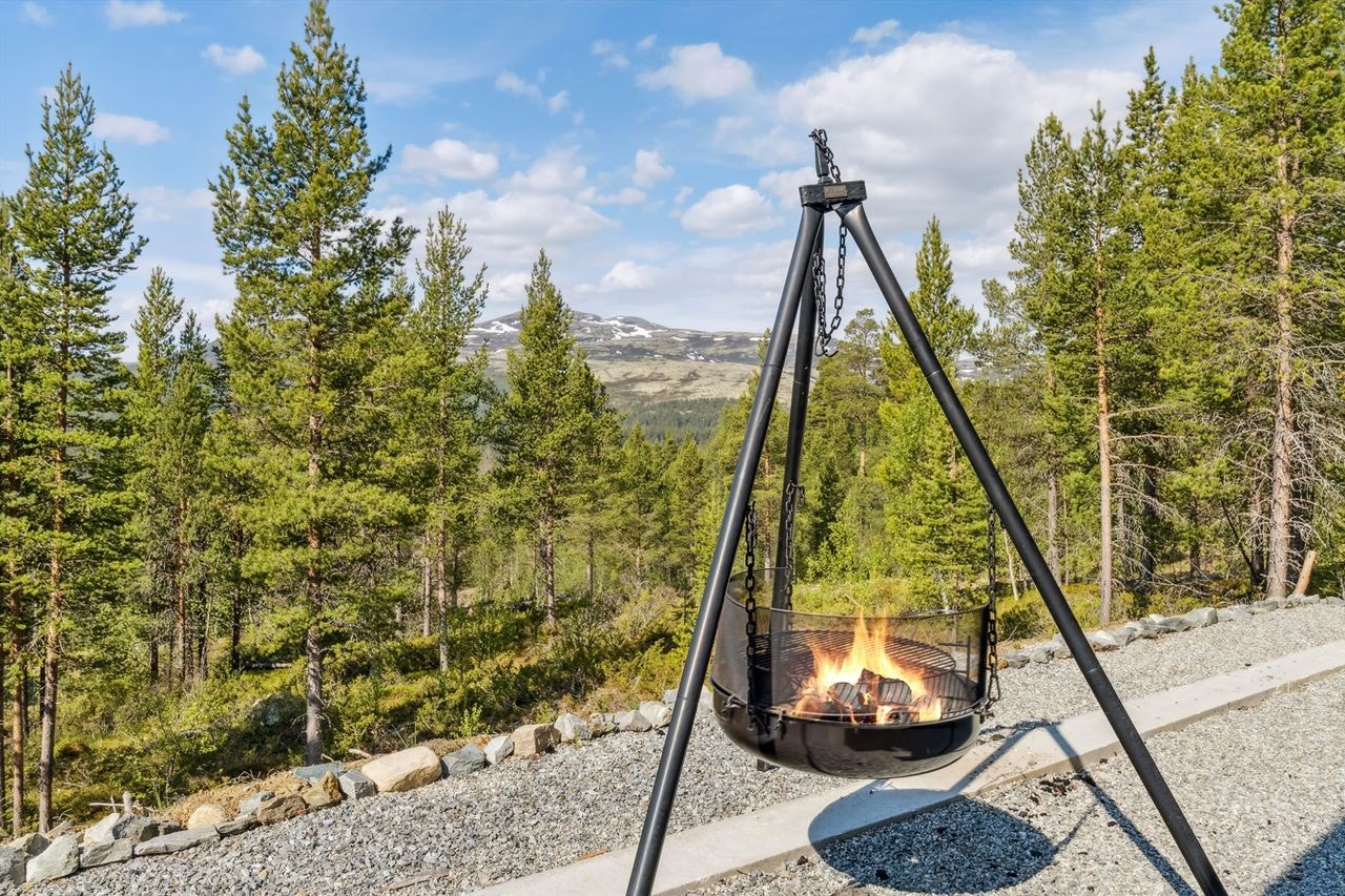 Ute og utsikt Galleribilde