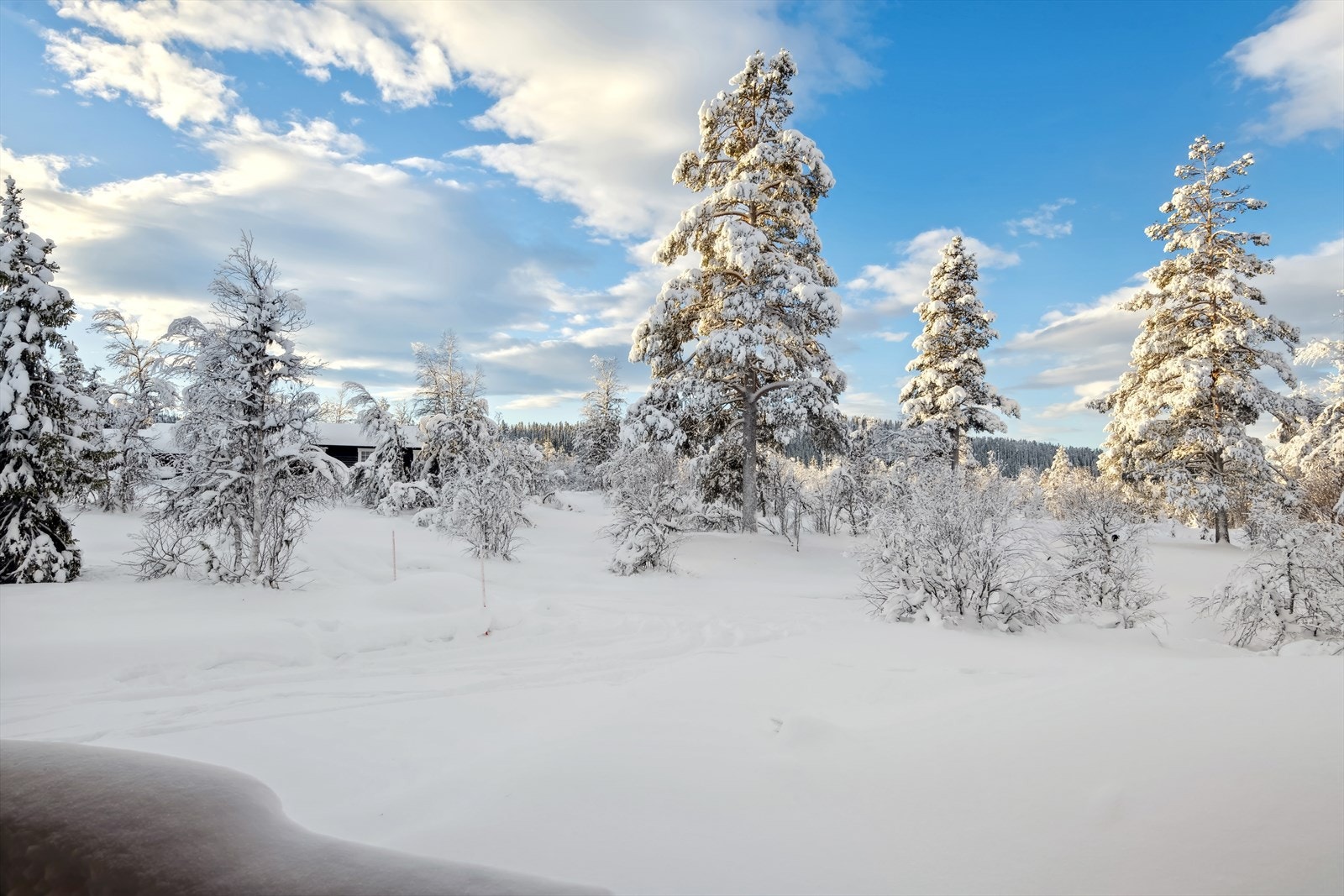 Fra hytta er det kort vei til flotte turmuligheter i skogsområdene i dalen eller man kan ta en fjelltur opp til Storbekkfjellet, Vestnubben eller Raudfjellet som er noen av fjelltoppene i området. Galleribilde
