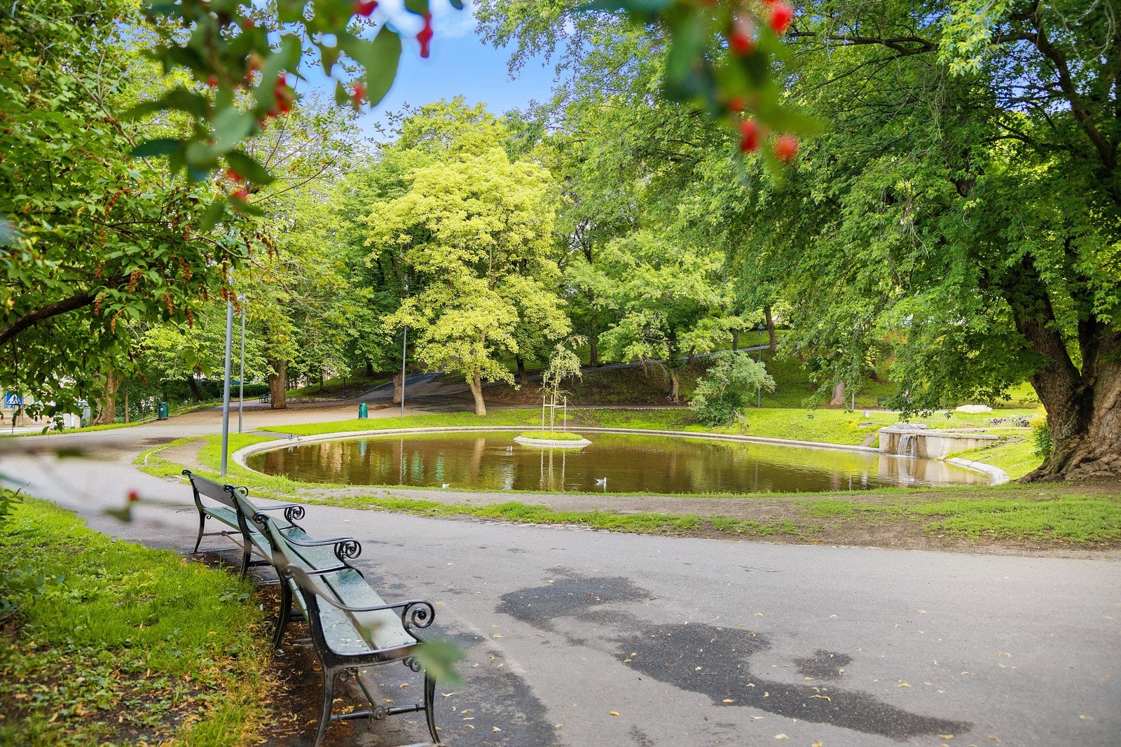 Omradebilde Galleribilde