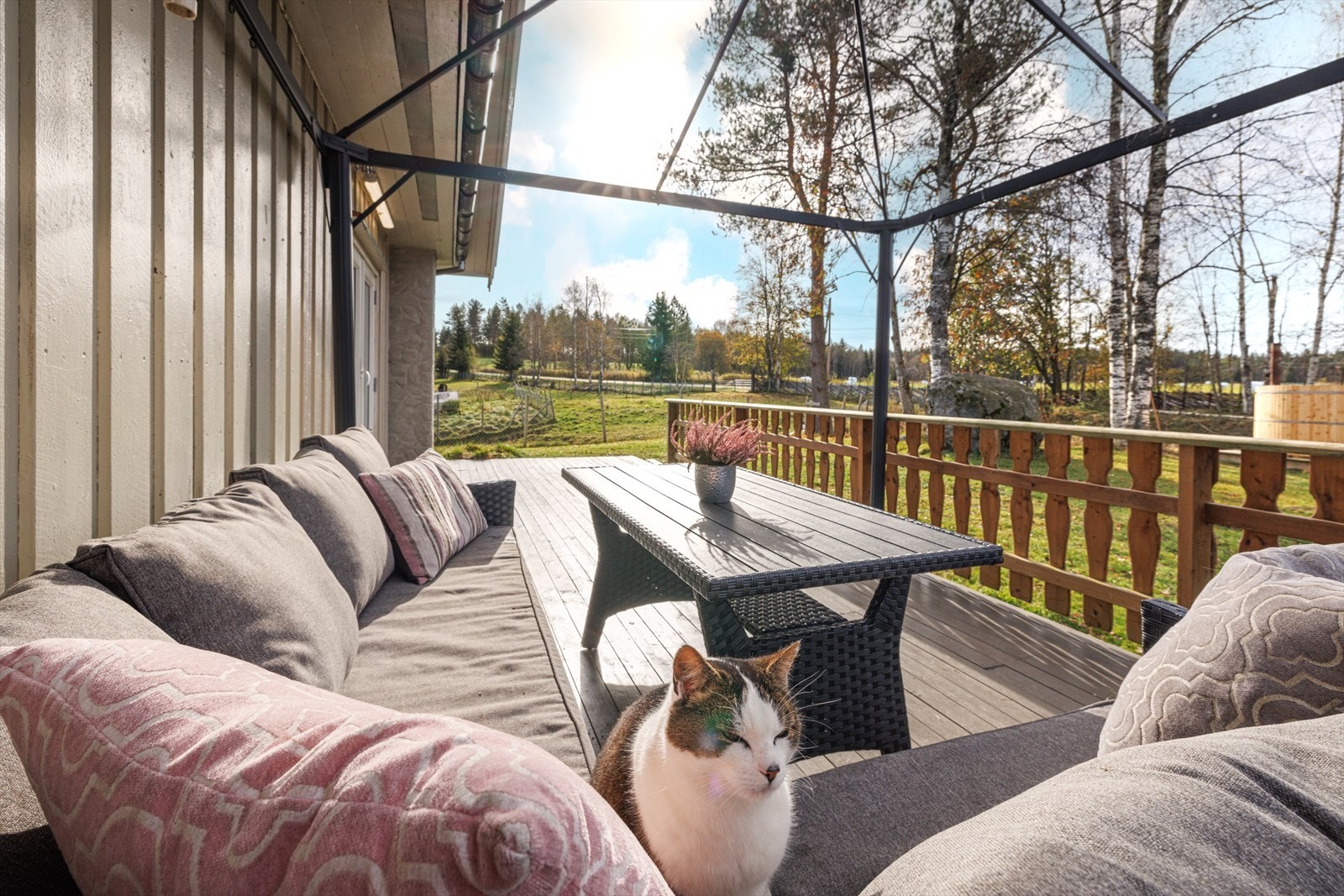 På terrassen er det plass til både to- og firbeinte! Galleribilde