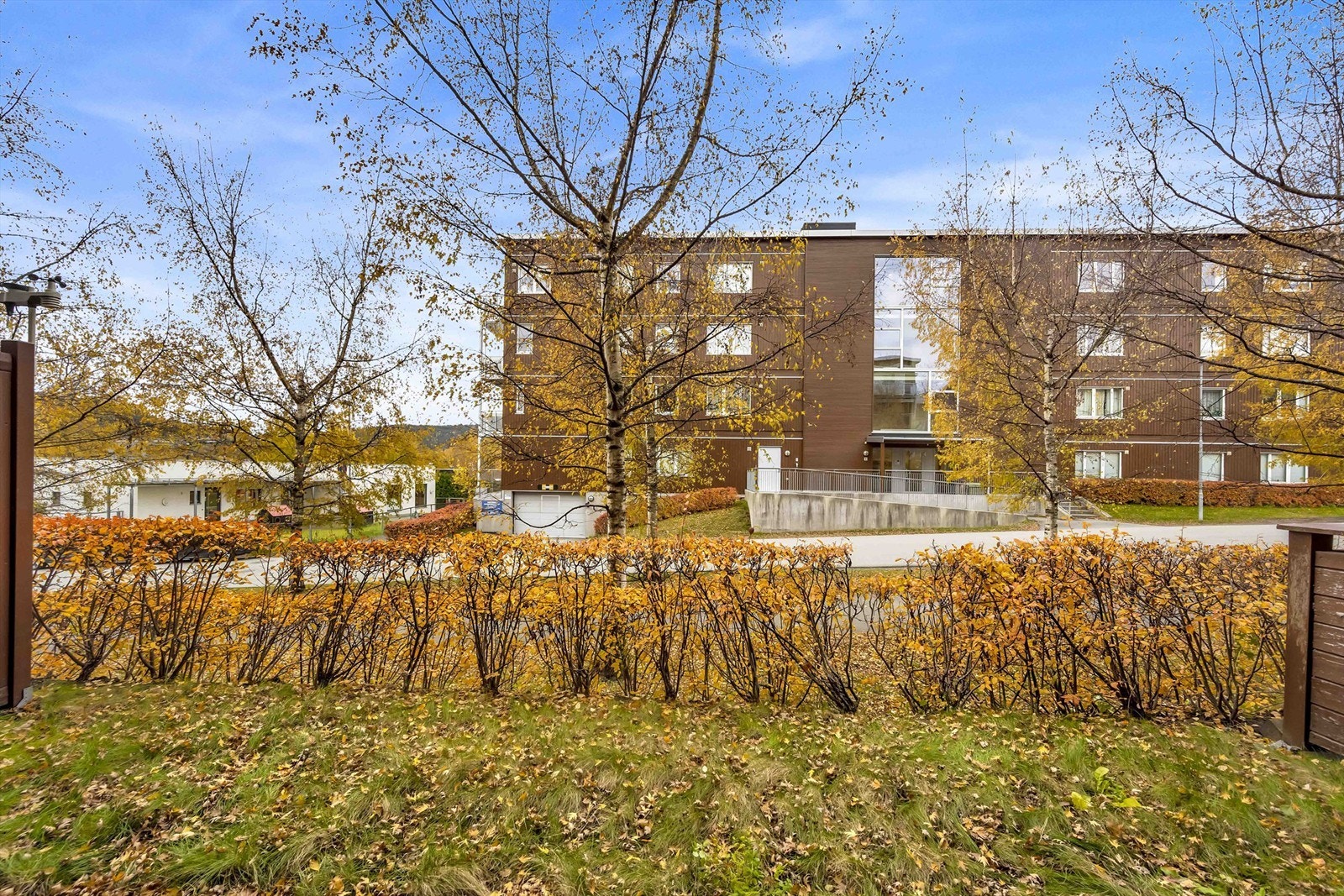 Tomten er fellesareal og er opparbeidet med asfalterte internveier, plenarealer, trær og diverse beplanting. Galleribilde