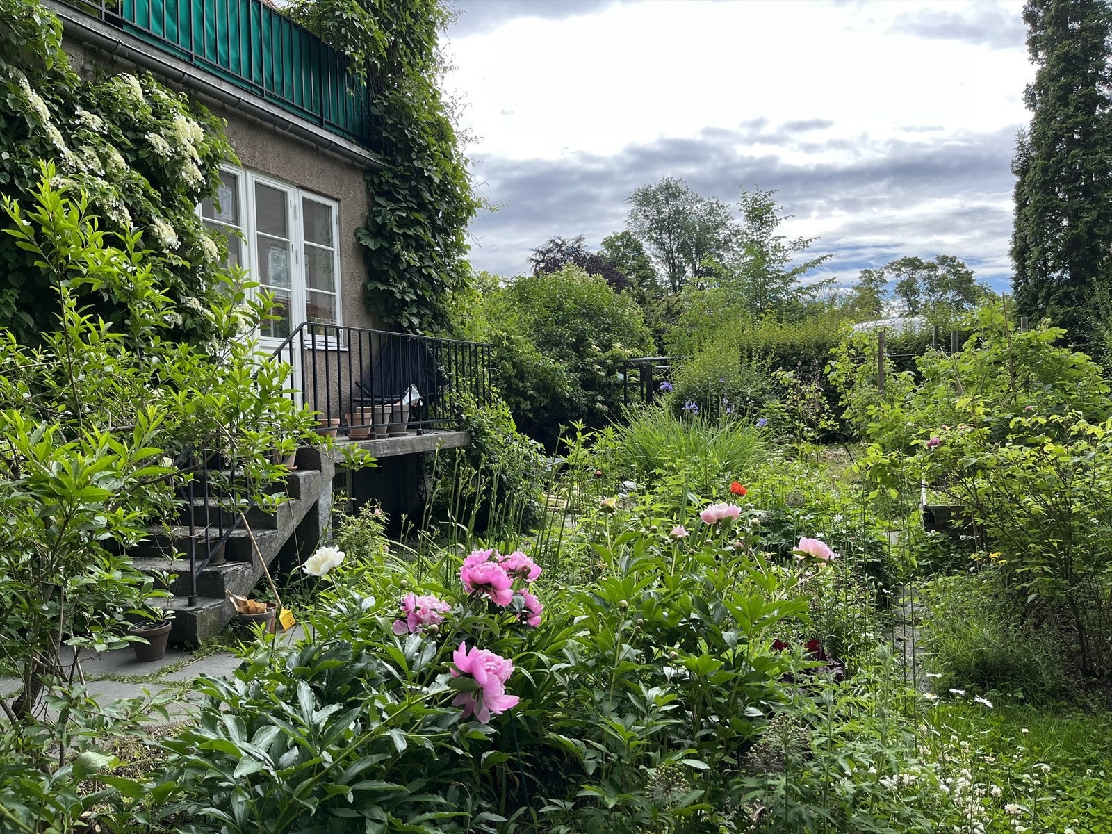 Sommeridyll | Selgers eget bilde. Galleribilde