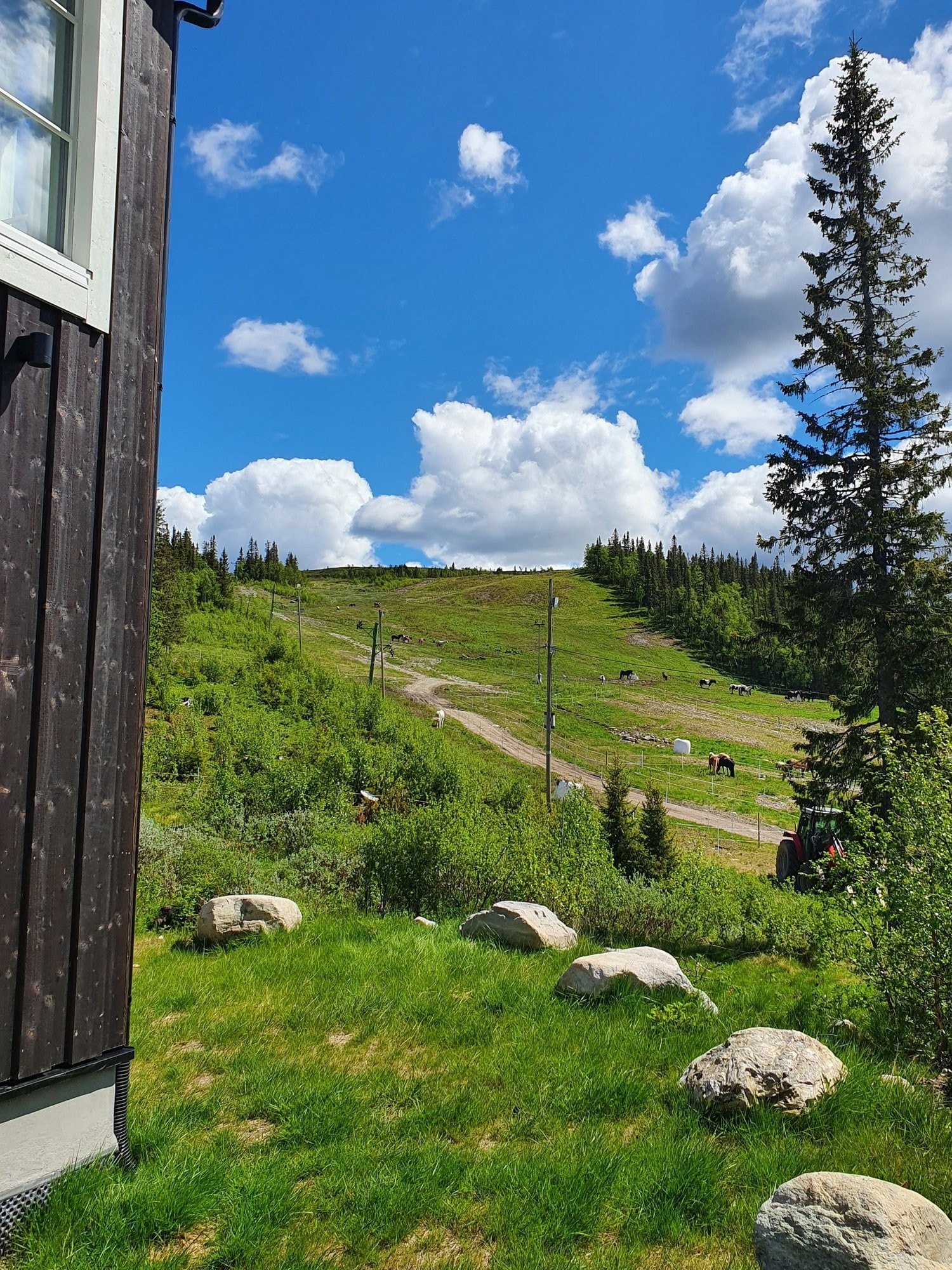 På sommeren er det rideleir og mulighet for å leie hest. Hestene står i slalåmbakken rett ved hytta. Galleribilde
