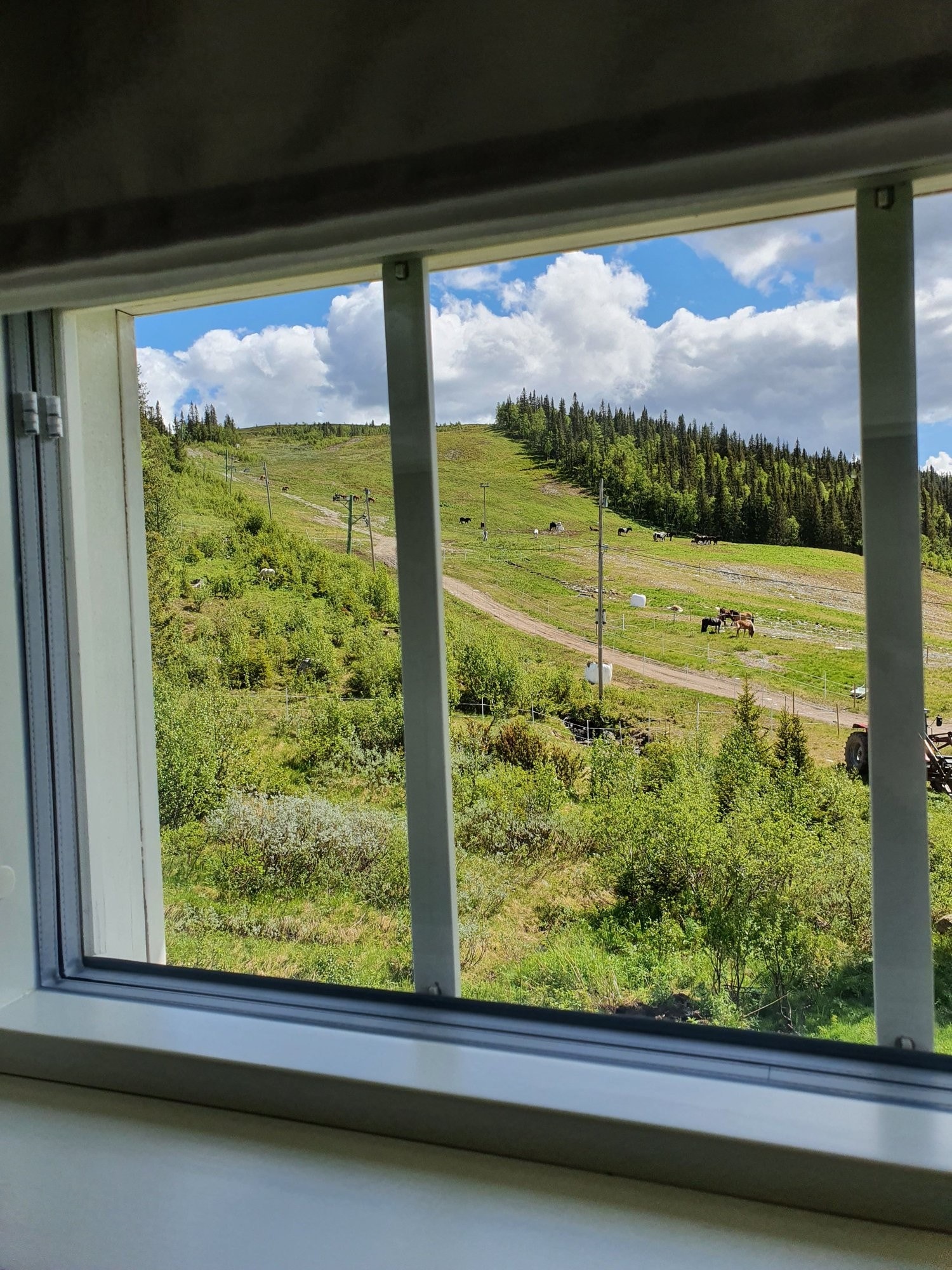 Utsikt fra loftstue. Idyllisk med hester rett ved hytta. Galleribilde