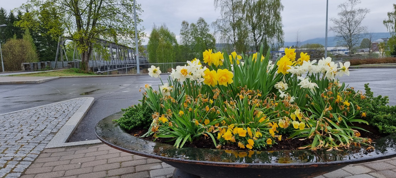 Hyggelige omgivelser på Skarnes! Galleribilde