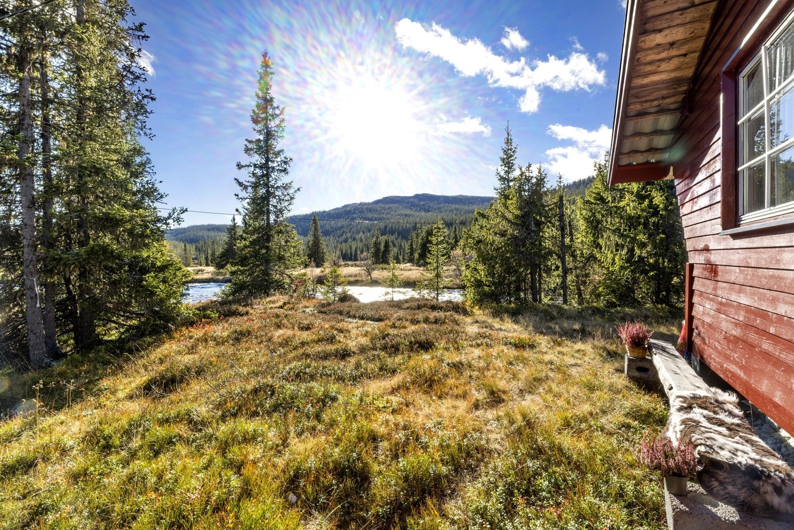 Haglebu er ett eldorado for de som er glad i norsk natur, både sommer og vinter. Galleribilde