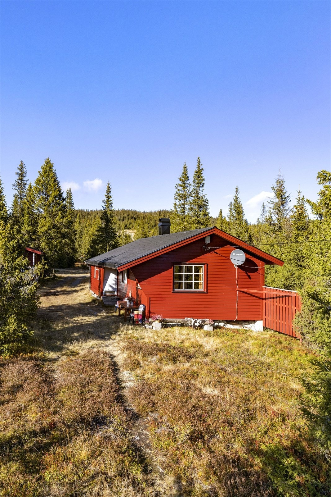 Festet tomt på ca. 1500kvm, som er lett opparbeidet omkring hytta. Galleribilde