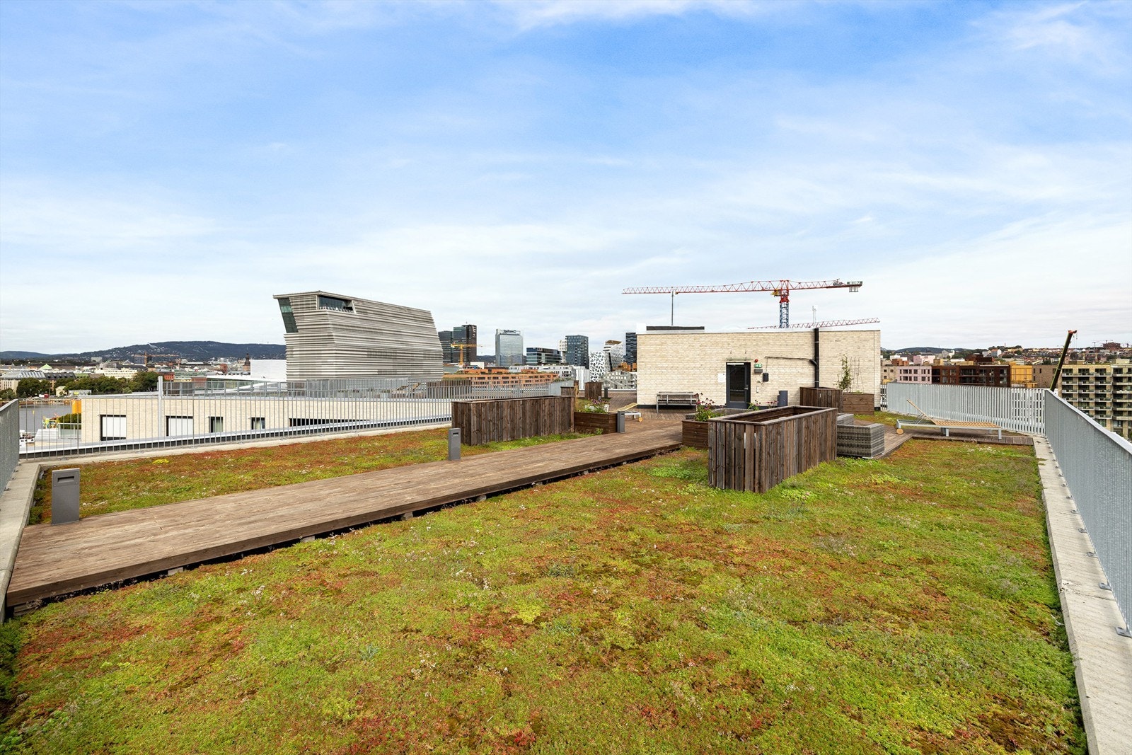 Felles takterrasse Galleribilde