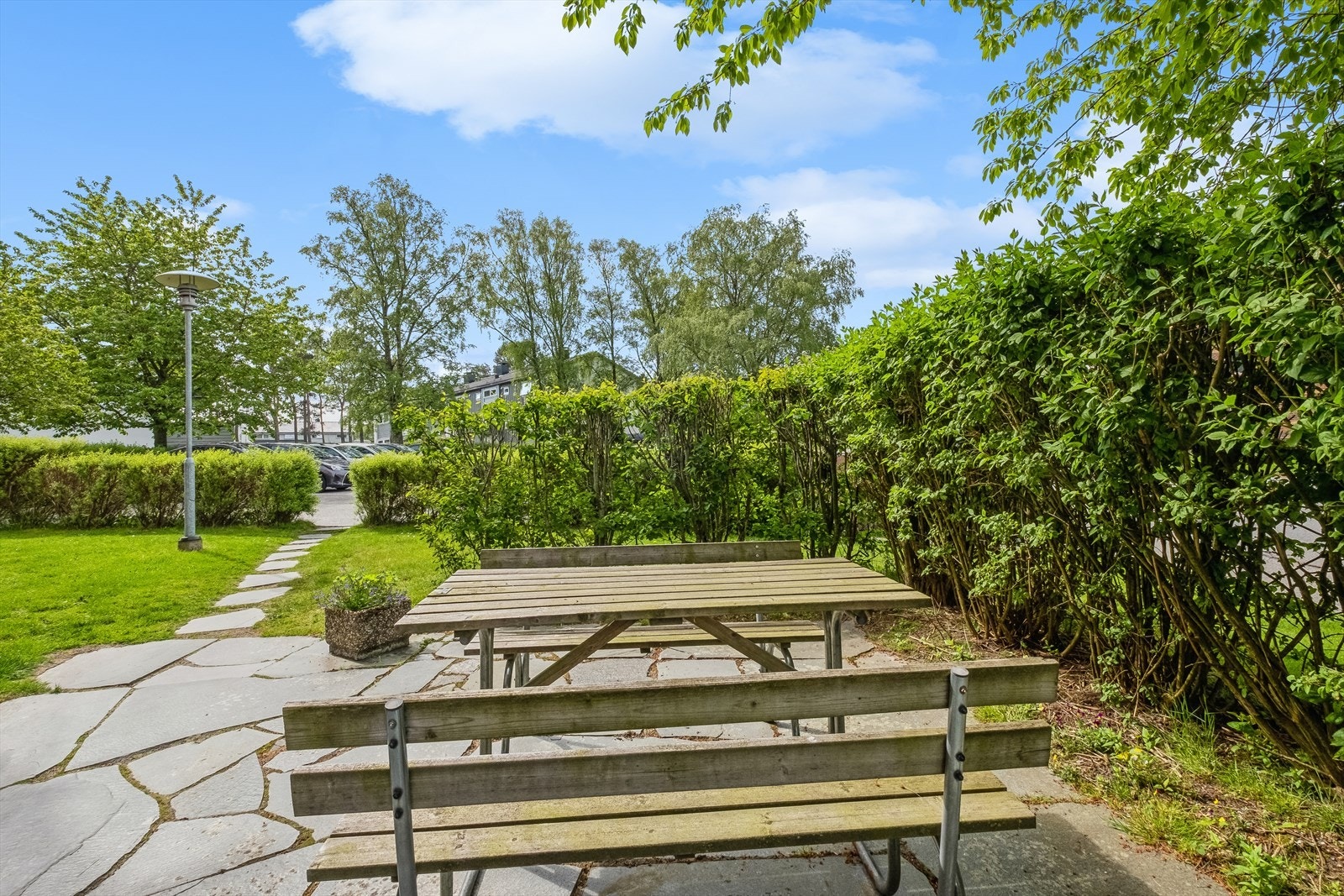 Vel møtt til en hyggelig visning! Galleribilde