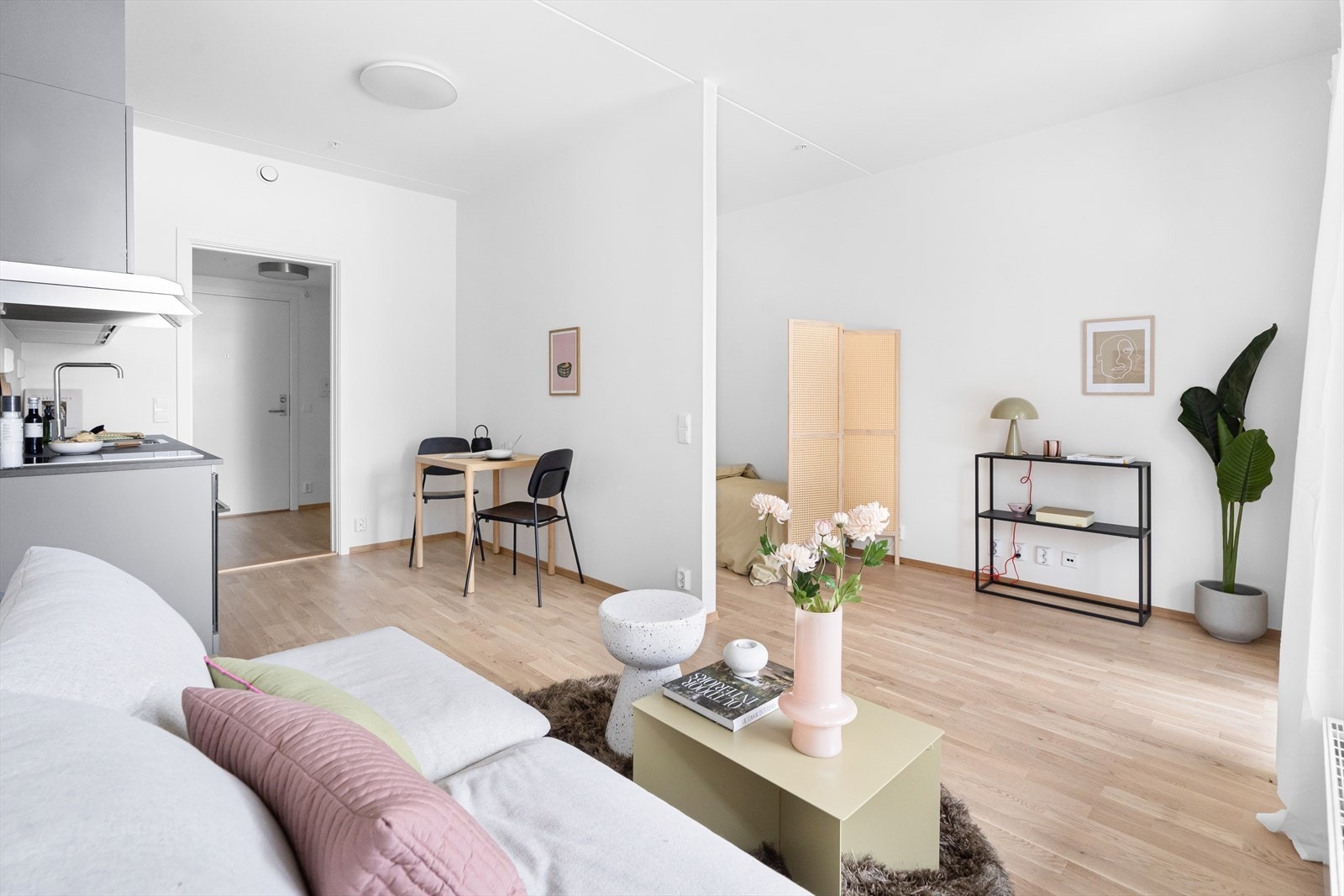 1-roms leilighet med perfekt planløsning! Galleribilde