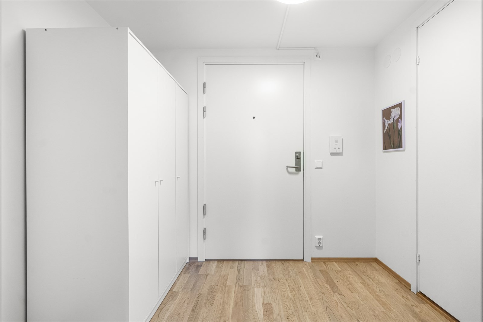 Entré/gang. For ekstra behov for lagring er det tilgang til en kjellerbod på ca. 3 kvm; rett ut ytterdøren og ned trappen. Galleribilde