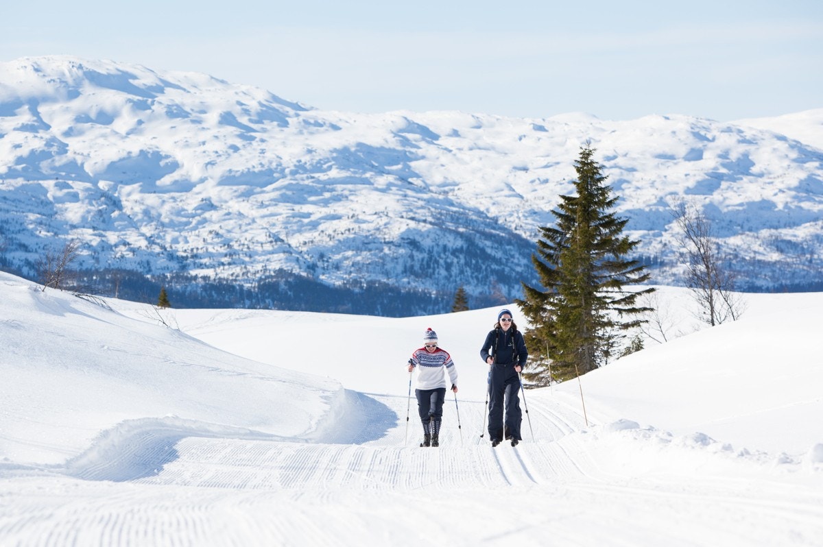 18 km med prepparerte langrennsløyper fra Hangurstoppen. Galleribilde