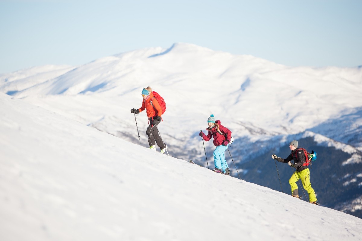 Toppturmuligheter i alle retninger - VisitVoss Galleribilde