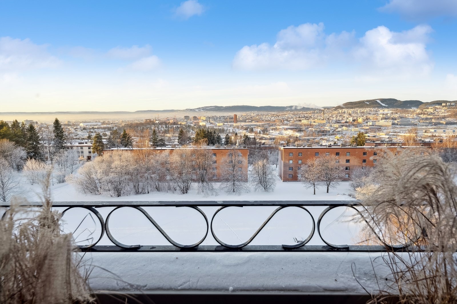 Vestvendt balokng. Galleribilde