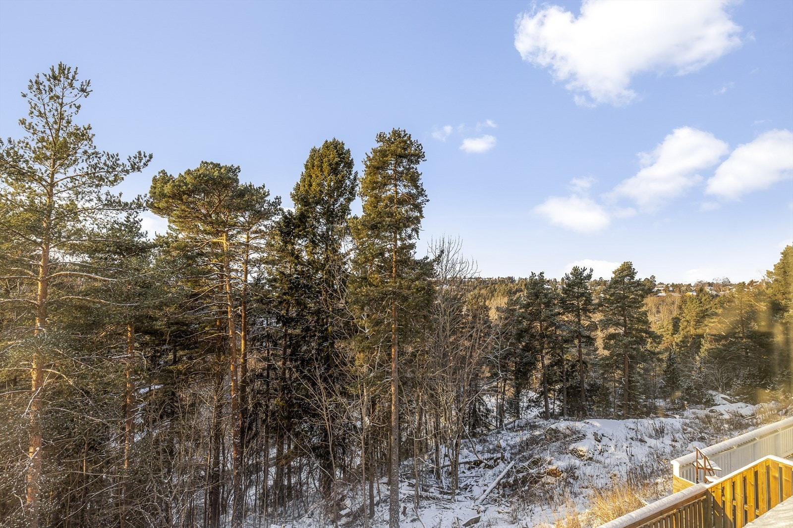 Nærområdet. Fra boligen er det gangavstand til både buss, barnehager og skoler. Galleribilde