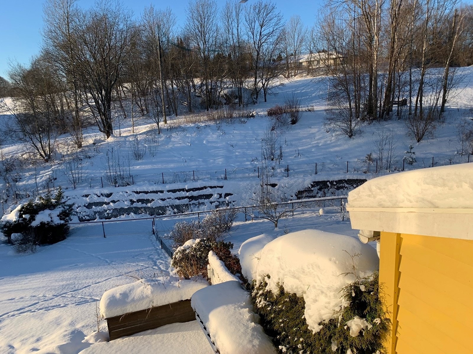 Hagen er like hyggelig sommer som vinter. Galleribilde