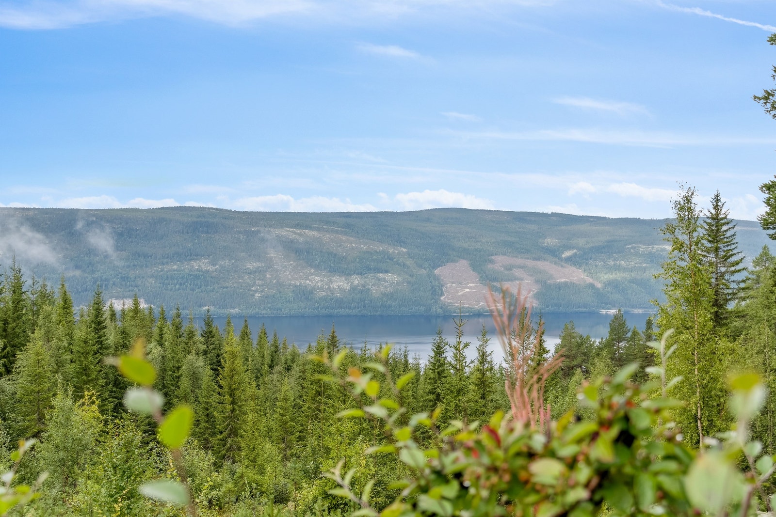 Flott utsikt mot Storsjøen og fjelldalen på andre siden. Galleribilde