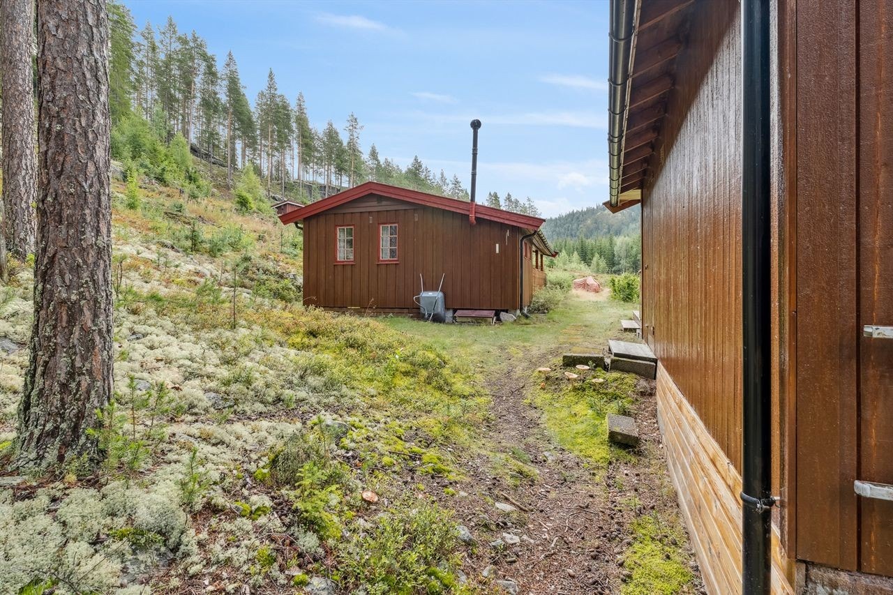 Naturtomt rundt byggene. Galleribilde