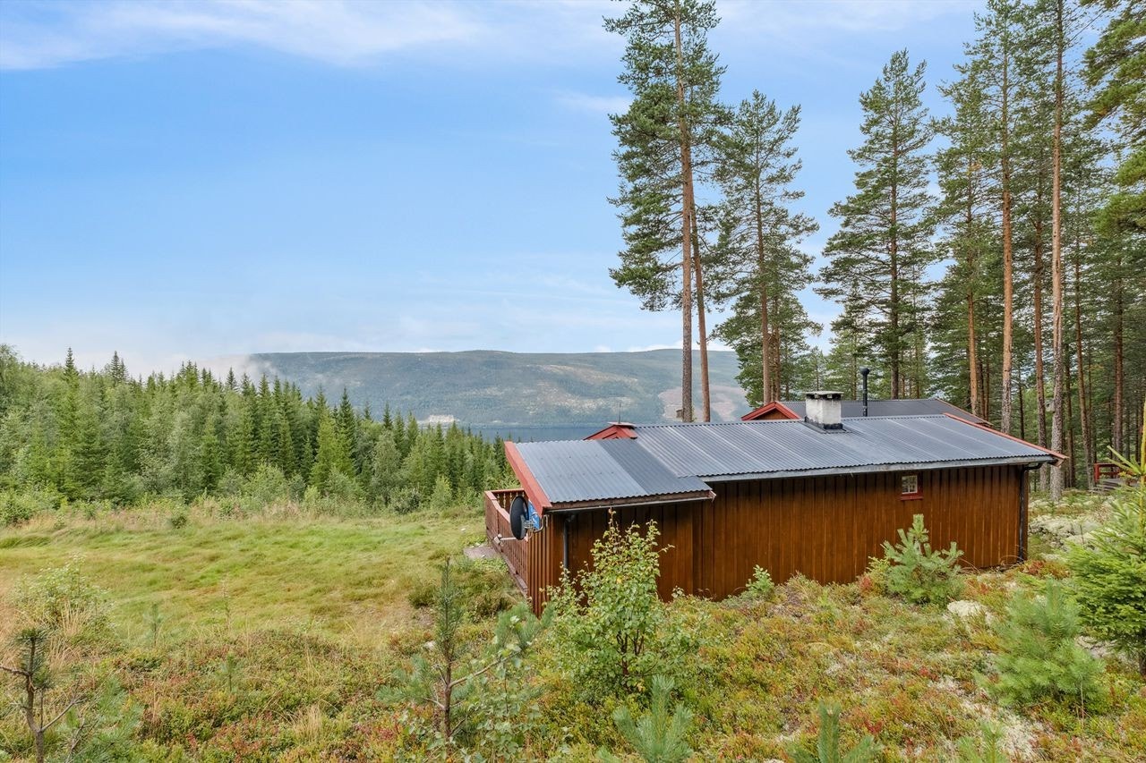 Flott utsikt fra fritidsboligen utover mot Storsjøen. Galleribilde