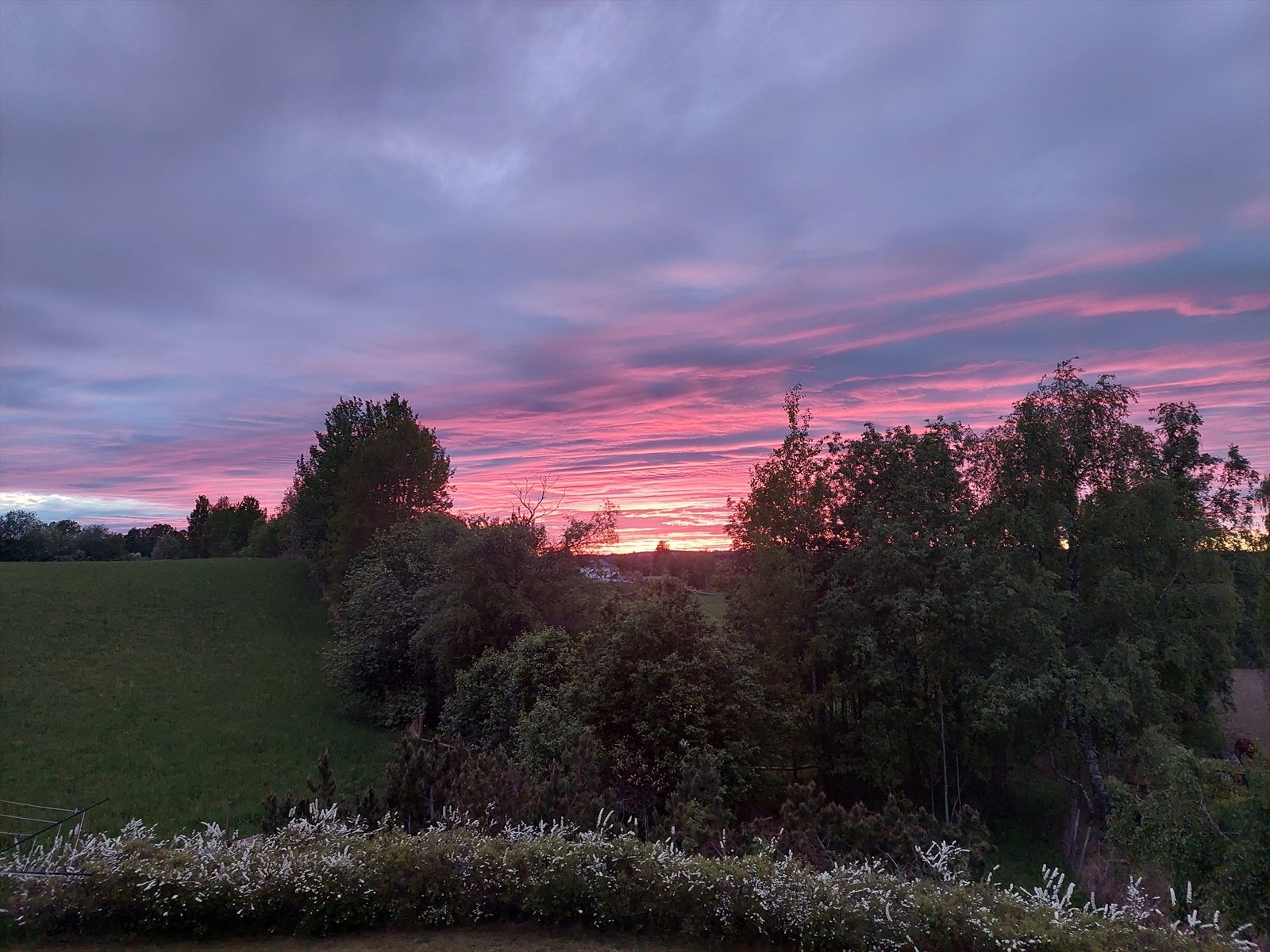 Foto fra selger. Galleribilde