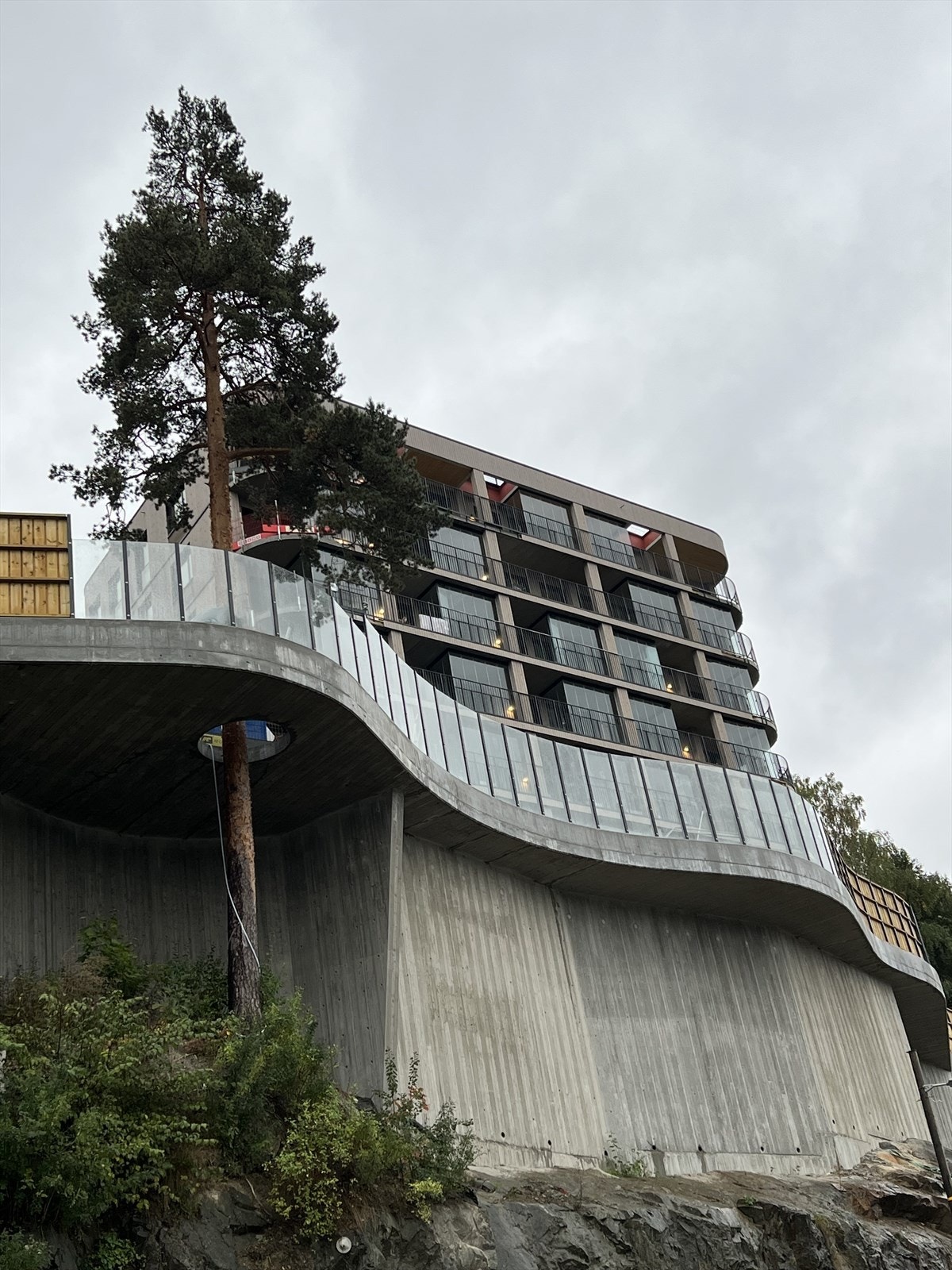 Uteområdet på bakkeplan er utkraget rundt et furutre. Galleribilde