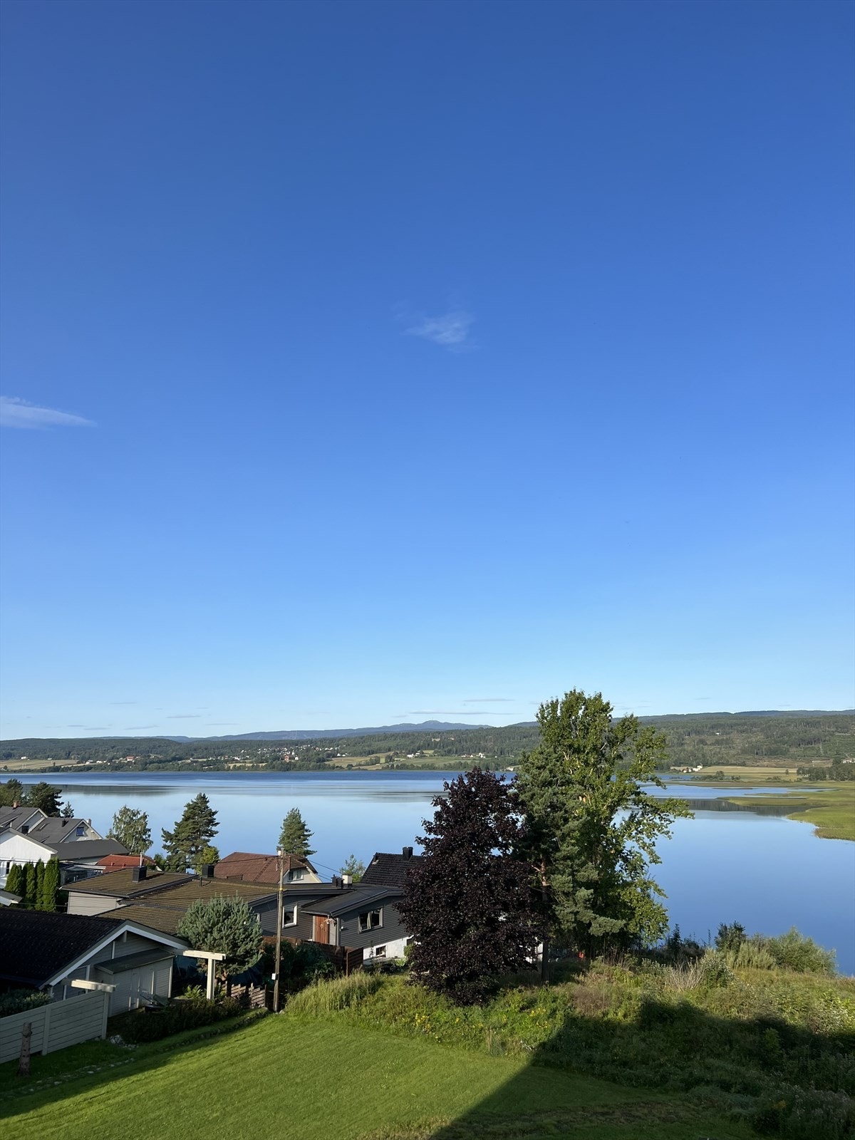 Sommer 2023 Galleribilde