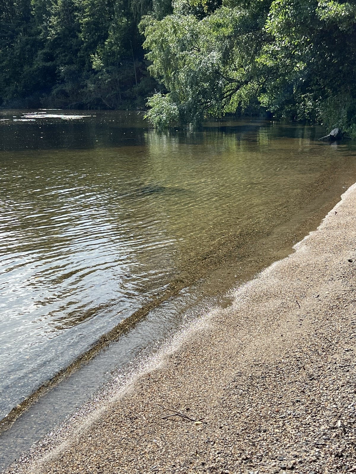 Flotte tur- og bademuligheter ved Sundhaugen Galleribilde