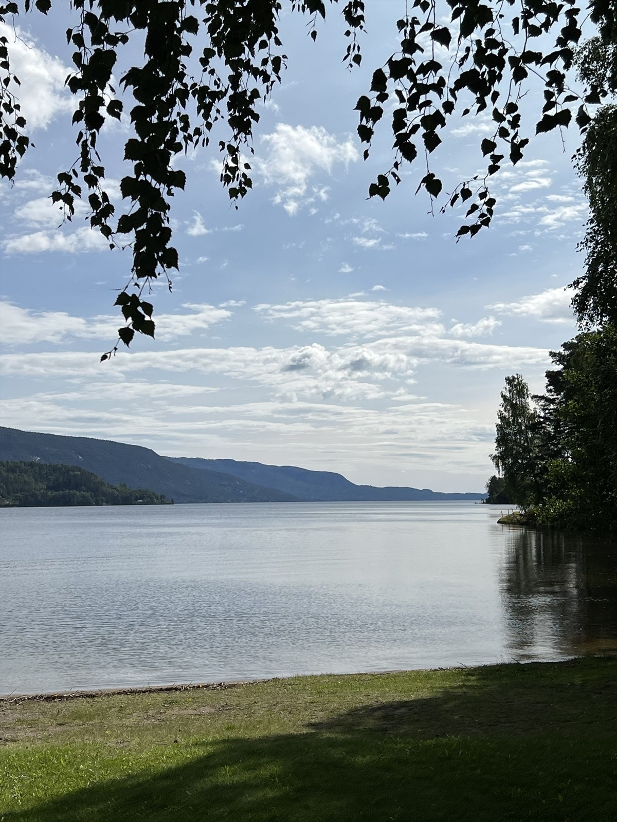 Eikern i solnedgang Galleribilde