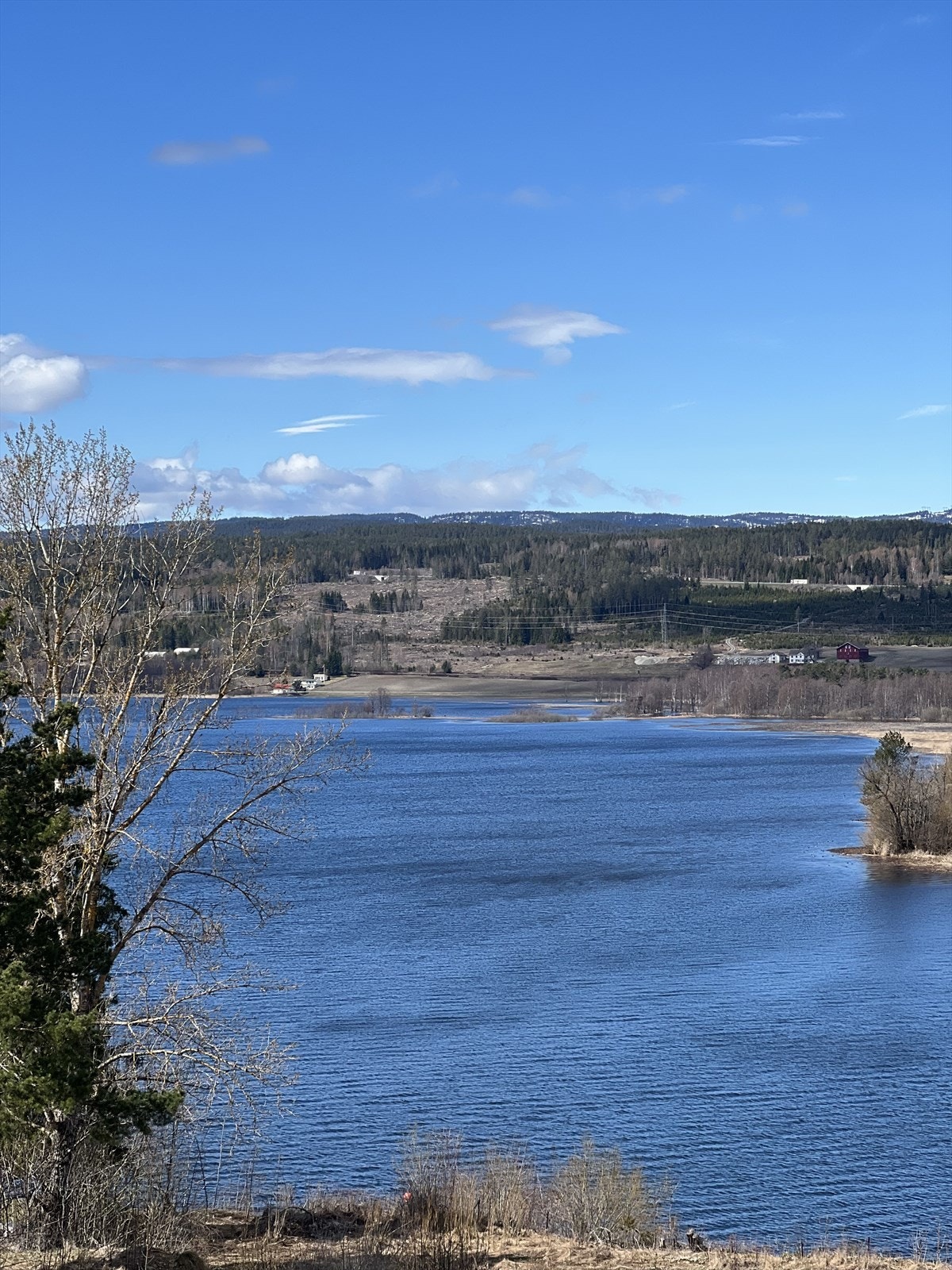 Flott beliggenhet Galleribilde