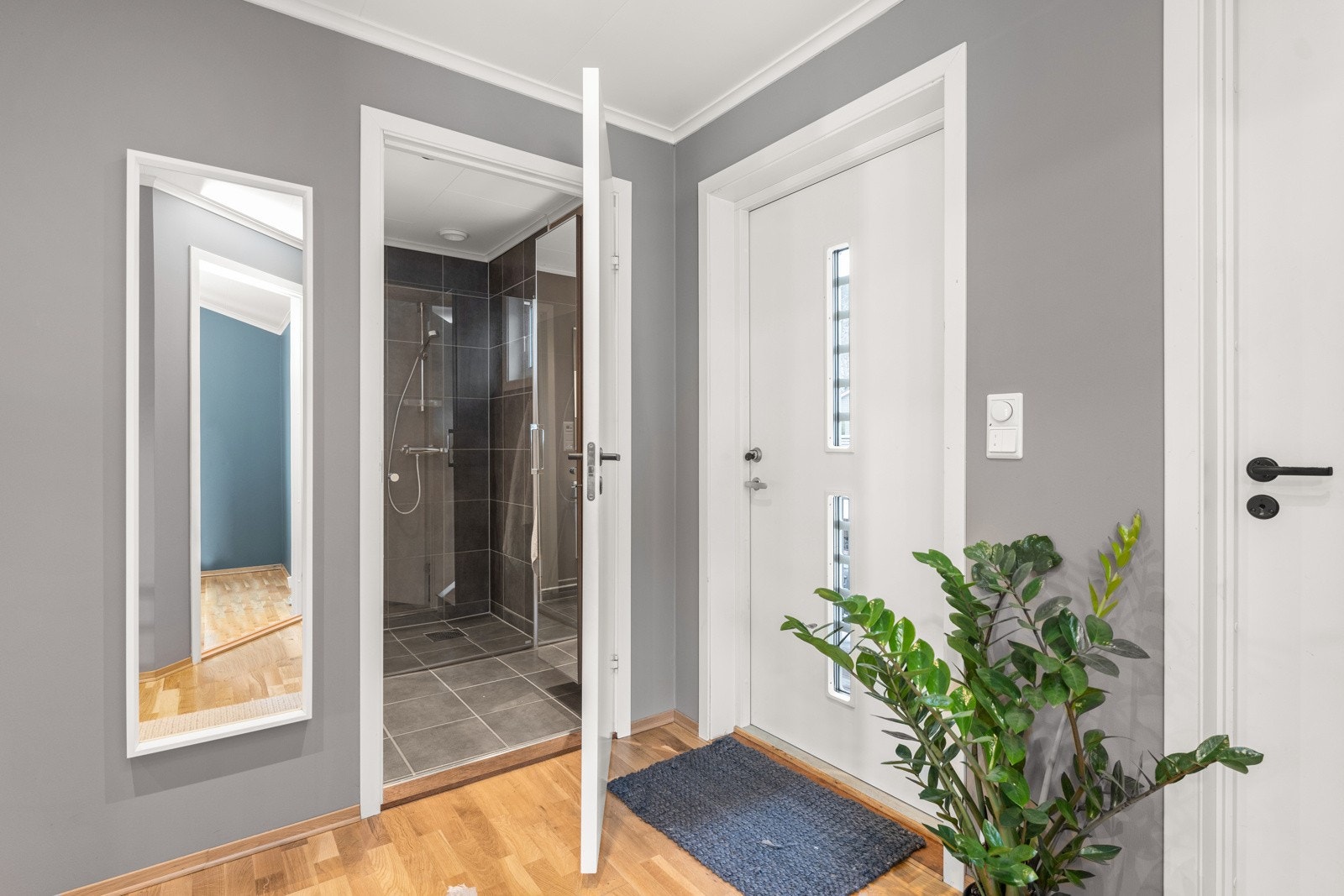 4892481_1-mwyfnb1.jpg Galleribilde