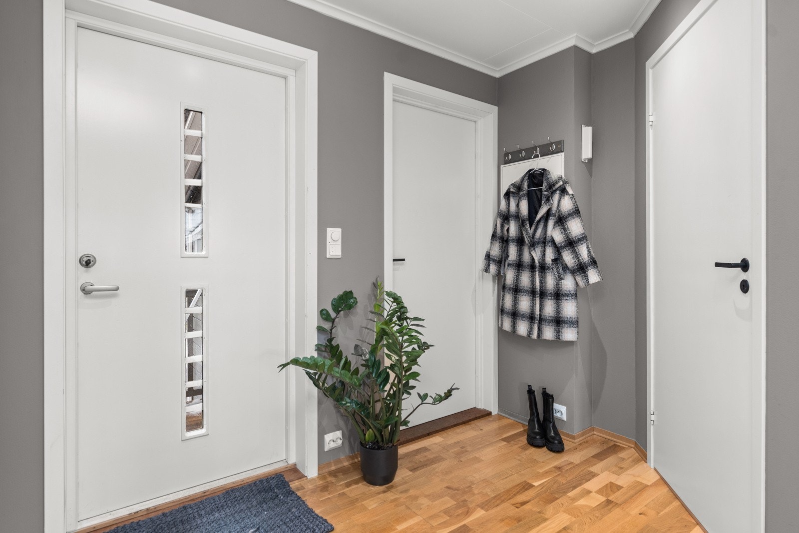 4892484_1-dxauxb1.jpg Galleribilde