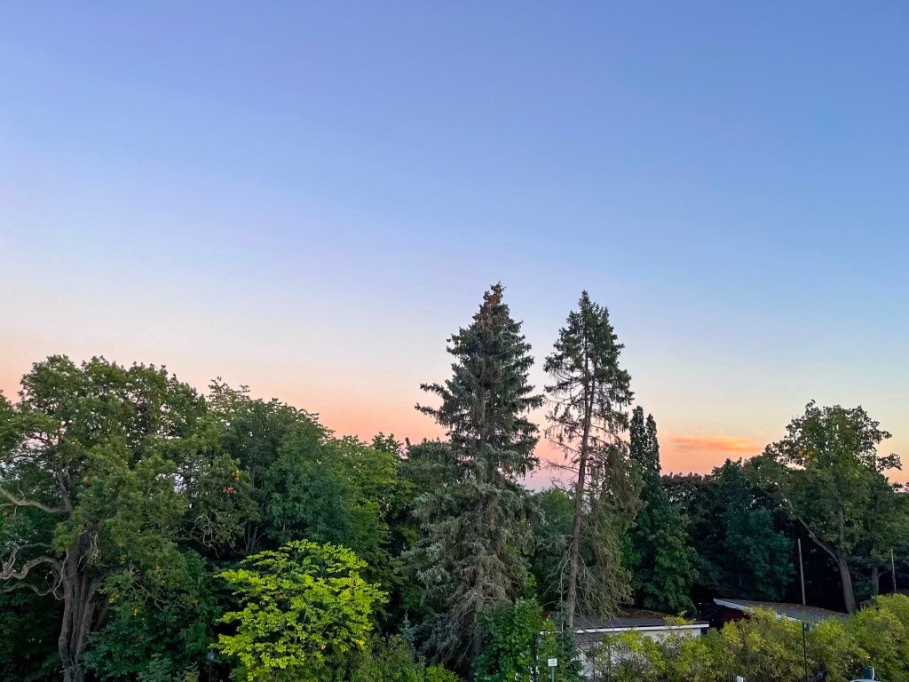 Her er det ingen innsyn i boligen Galleribilde