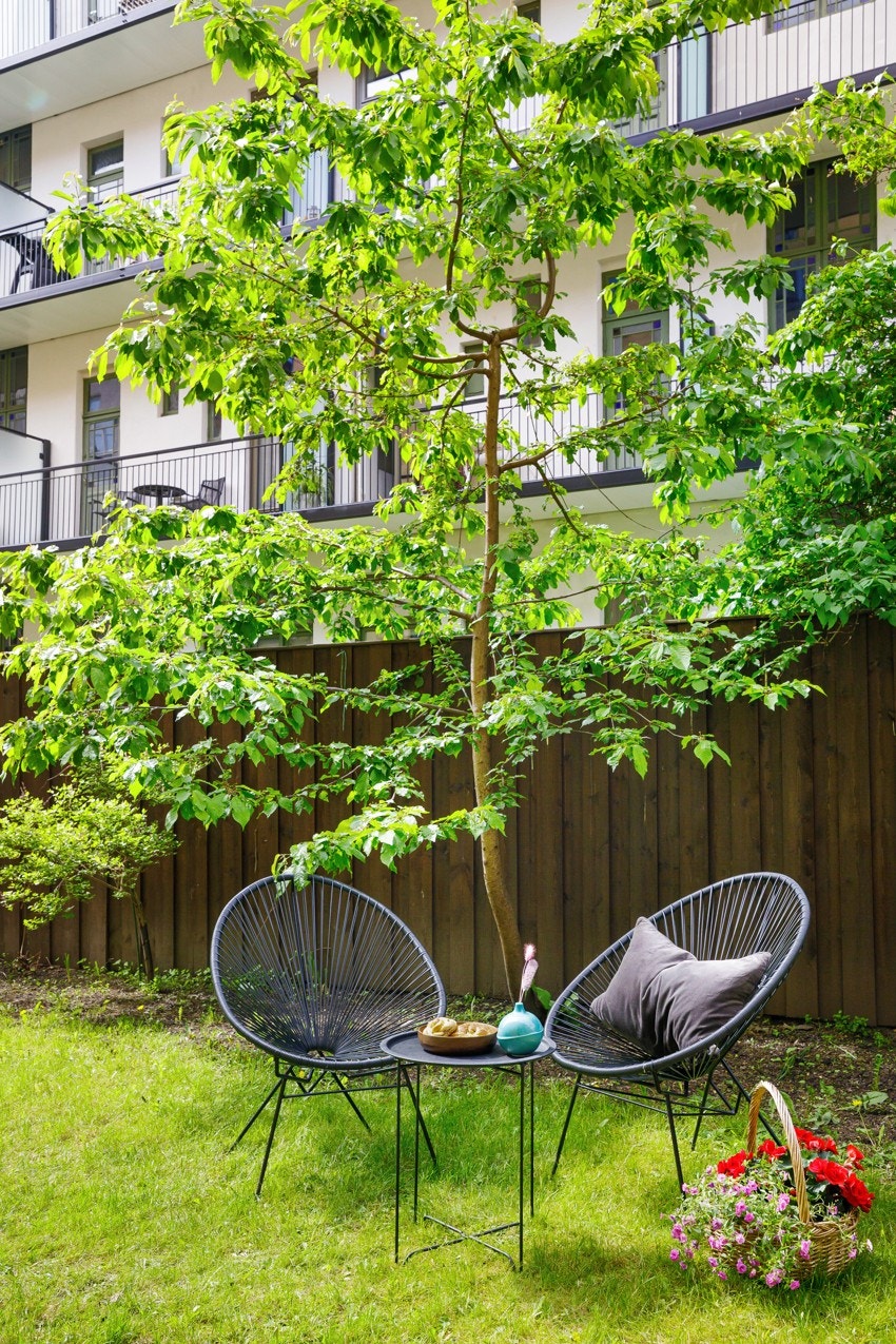 Idylliske omgivelser i bakgården. Galleribilde