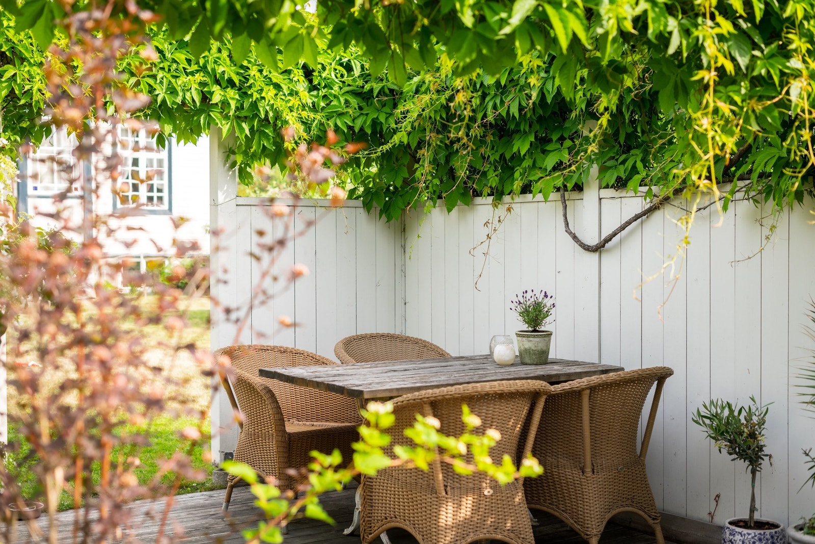 I hagen kan man kose seg usjenert sommerhalvåret. Galleribilde