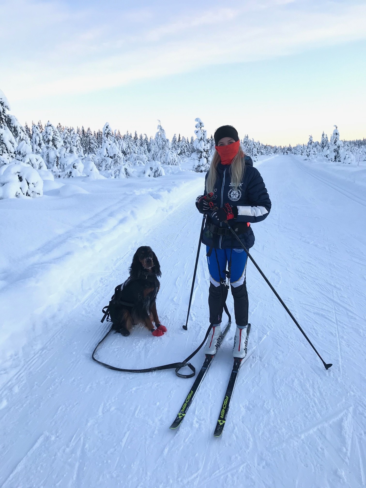 Bilder fra langrennsløypene i området Galleribilde