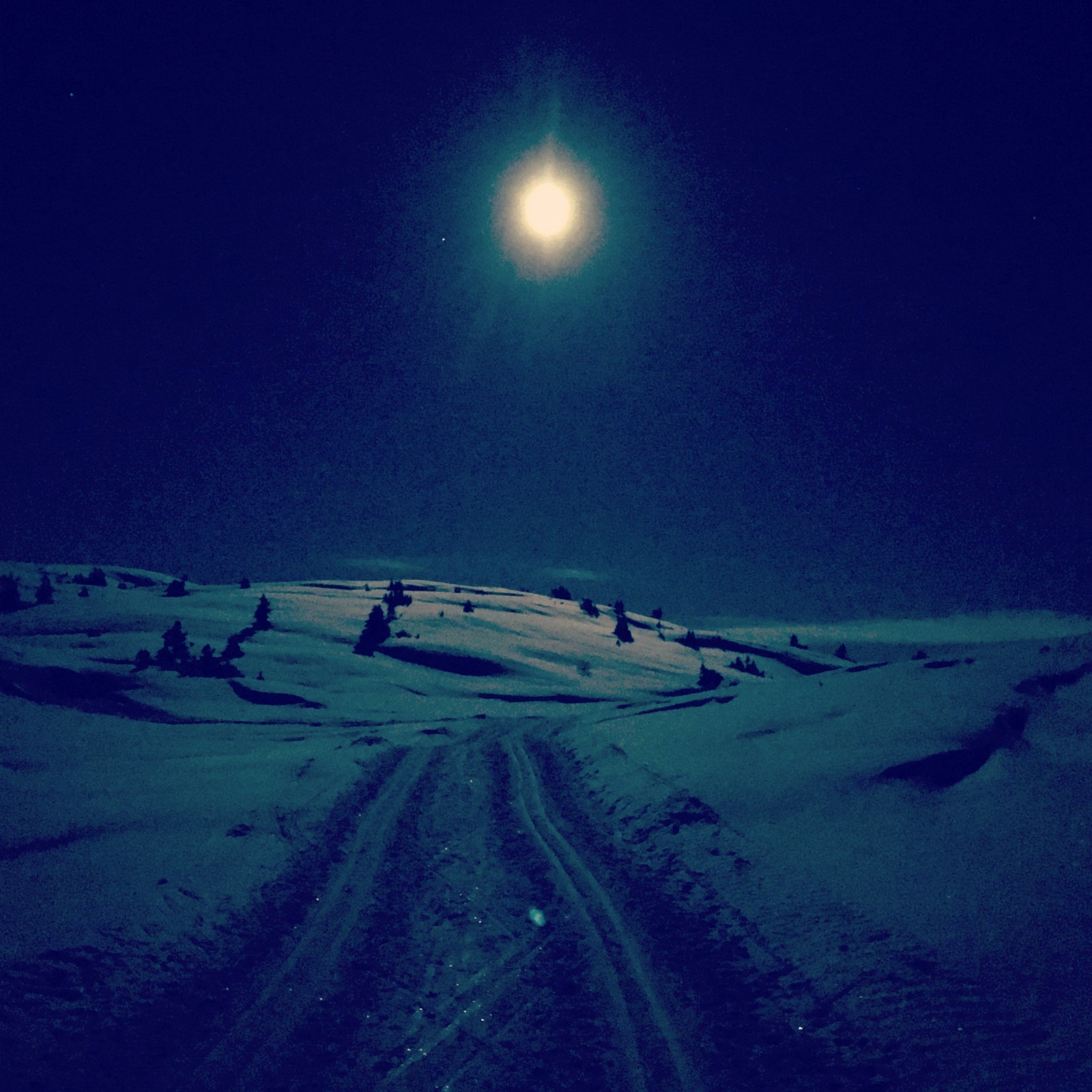 Bilder fra langrennsløypene i området Galleribilde