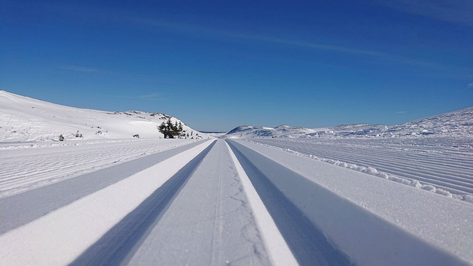Bilder fra langrennsløypene i området Galleribilde