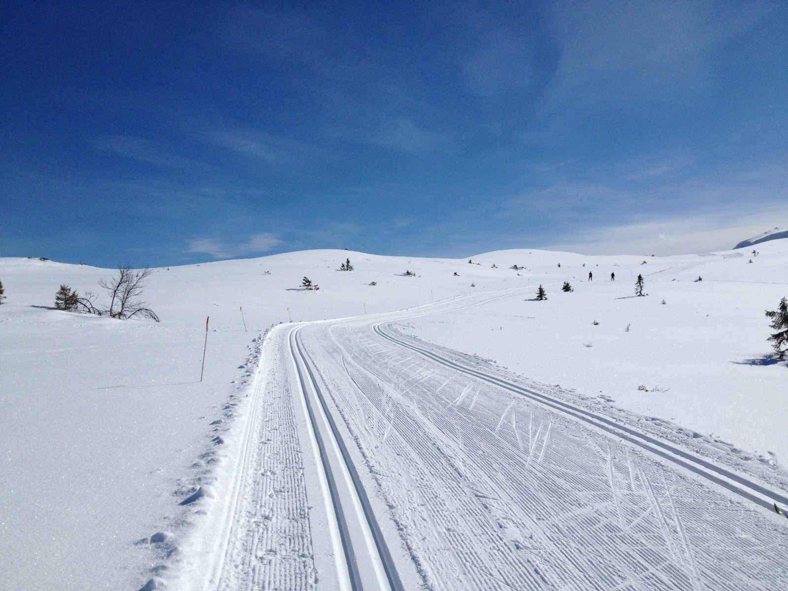 Bilder fra langrennsløypene i området Galleribilde