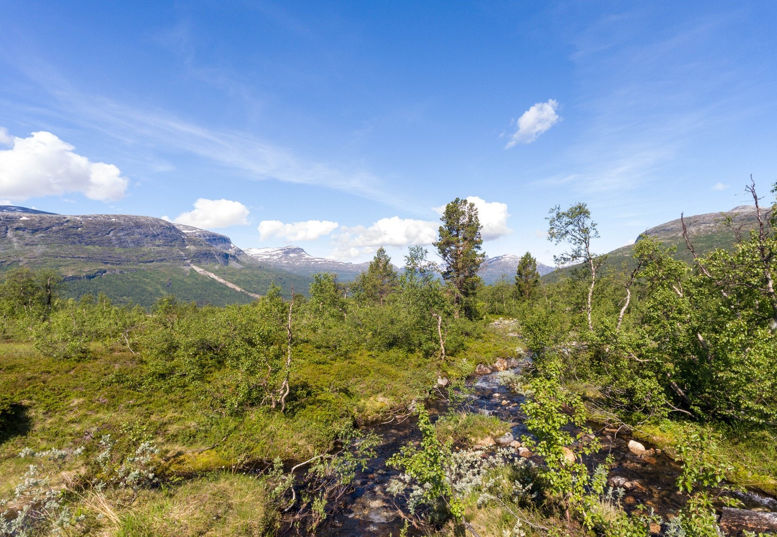 Nærområdet inviterer til flotte naturopplevelser Galleribilde