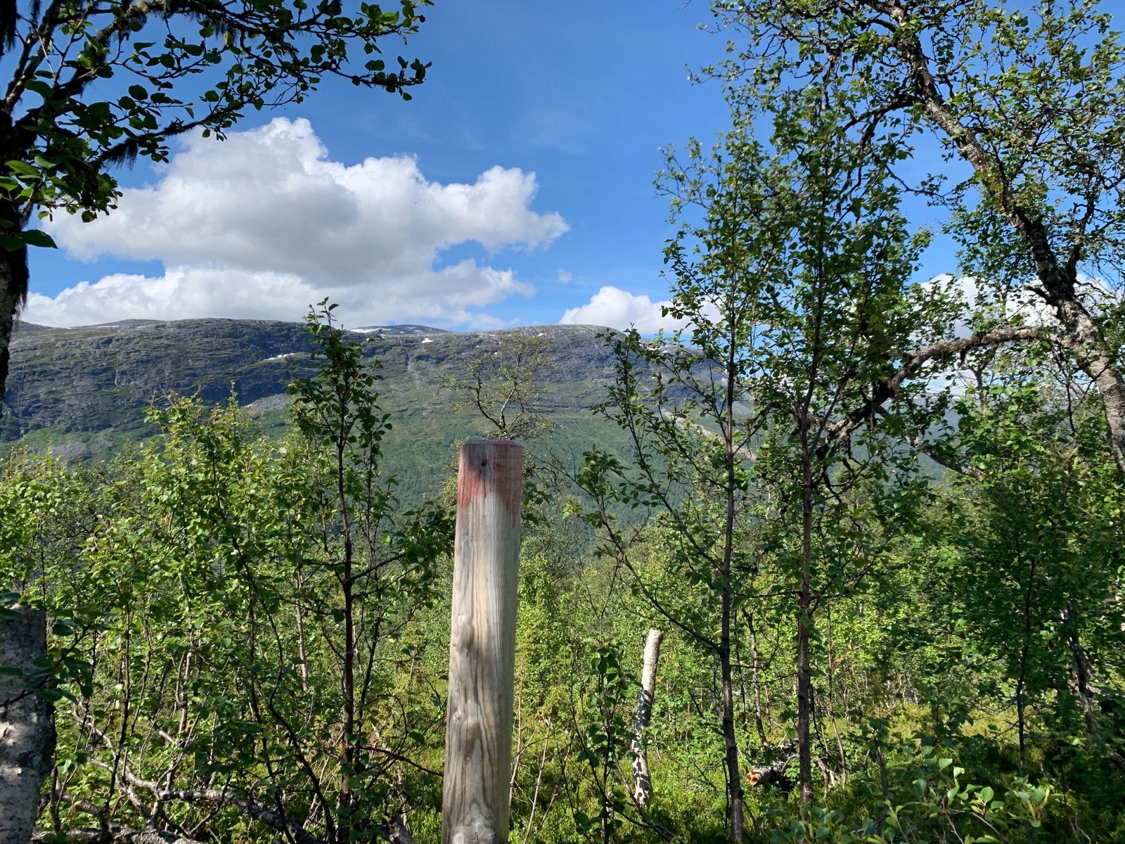 Nærområdet inviterer til flotte naturopplevelser Galleribilde