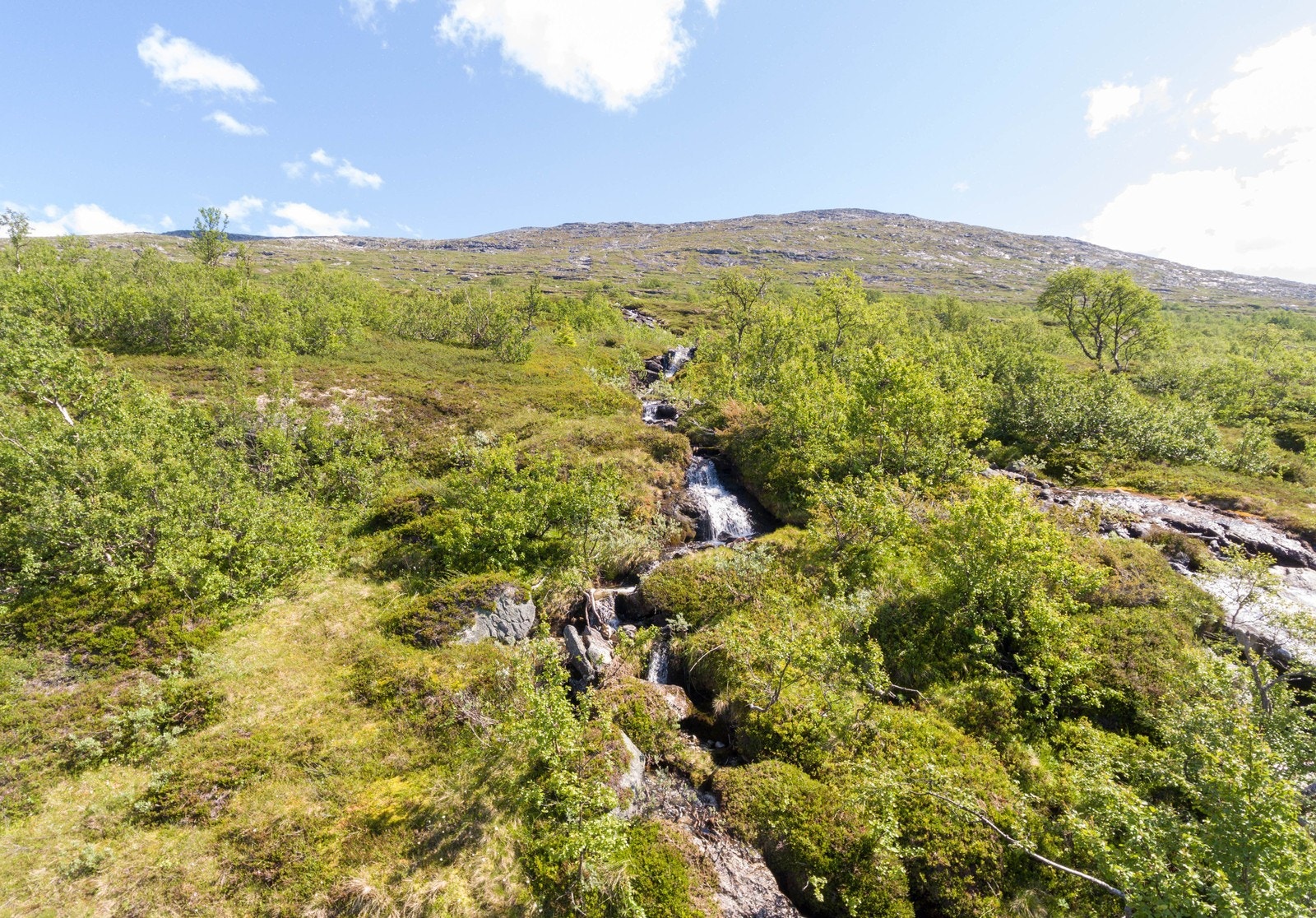 Nærområdet inviterer til flotte naturopplevelser Galleribilde