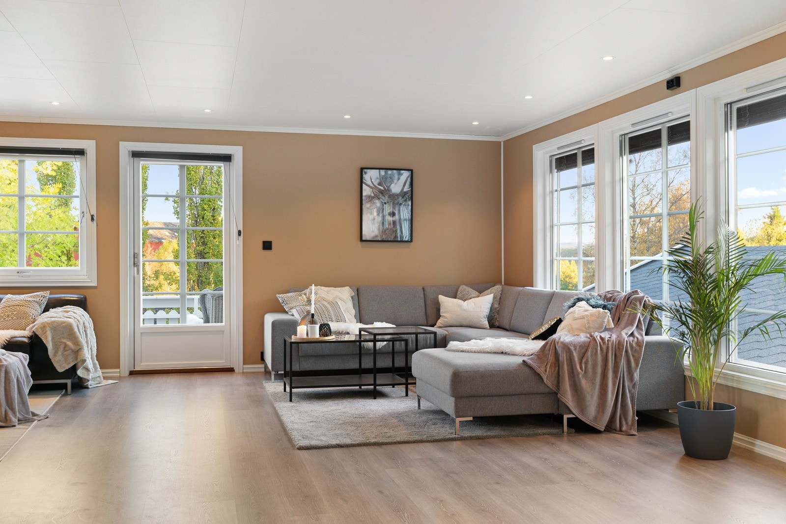 Fra stuen er det utgang til en stor og solrik terrasse. Galleribilde