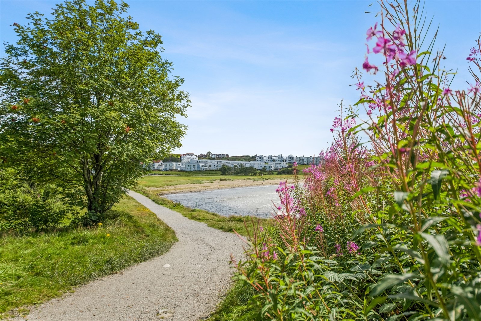Nærområde Galleribilde