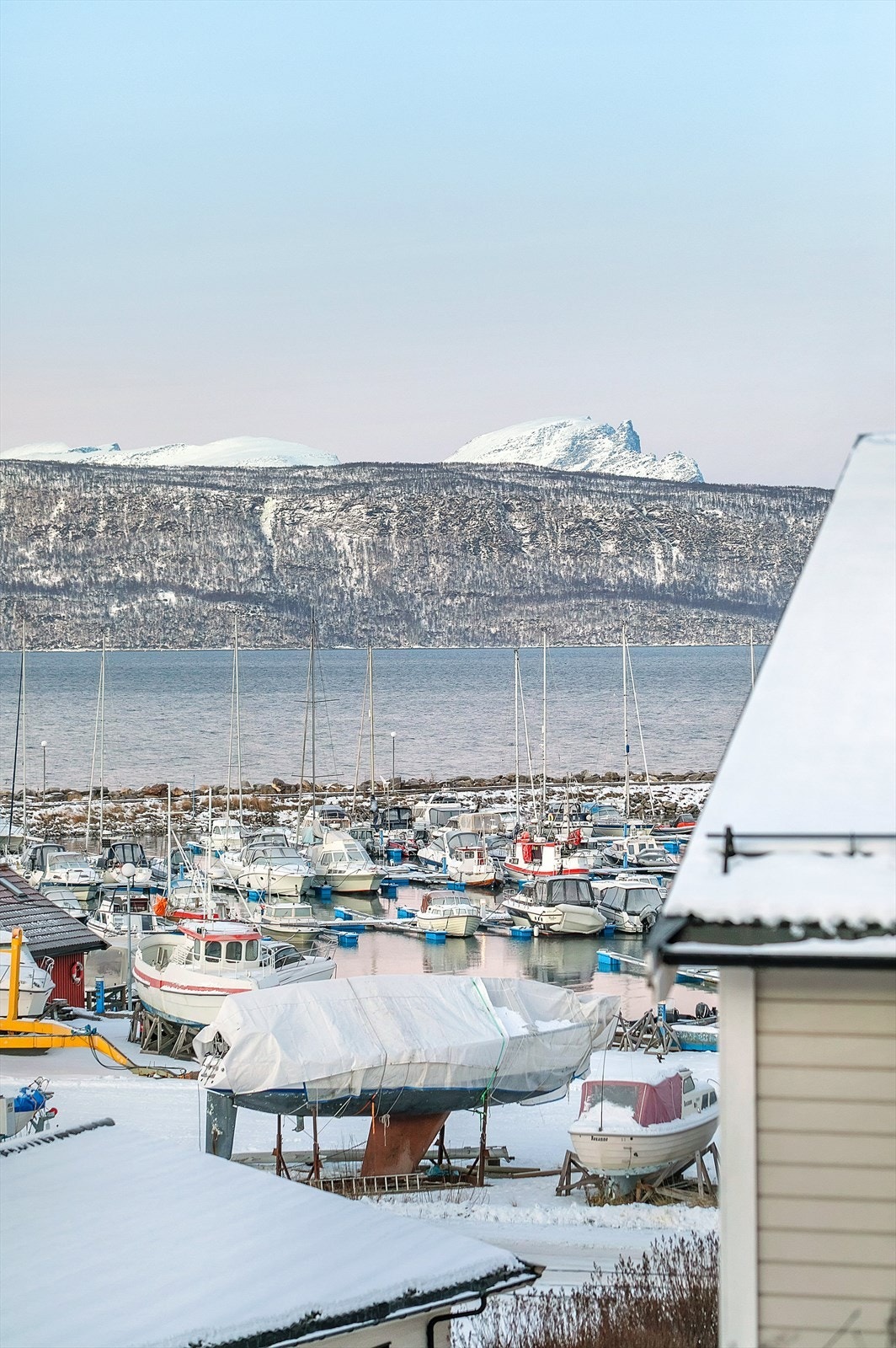 Utsikt fra garasjetaket Galleribilde