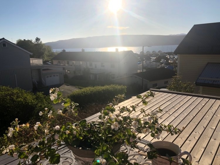 Solrik takterrasse, privat bilde Galleribilde