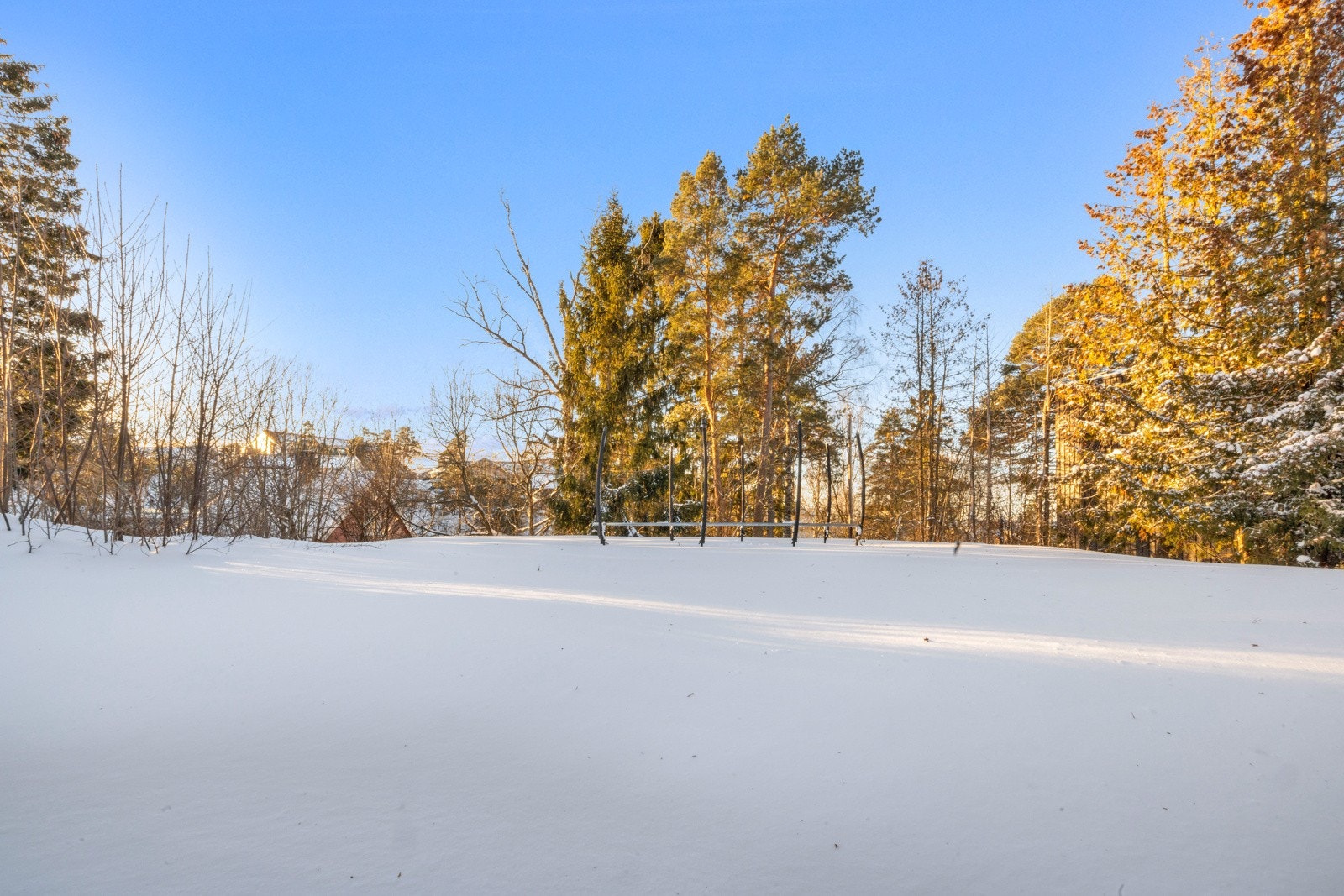 På utsiden er det en koselig felleshage med store plenareal omkranset av prydbusker og trær Galleribilde